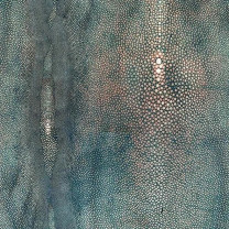 Tapete Jean Paul Gaultier Precieux Bleu