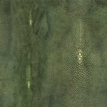 Tapete Jean Paul Gaultier Precieux Vert